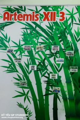 ky yeu 12 4 thpt thanh khe da nang 101