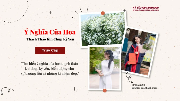 thumbnail y nghia hoa thach thao khi chup ky yeu